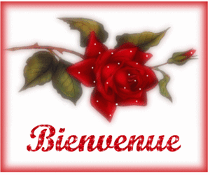 Gif animé bienvenue rose rouge